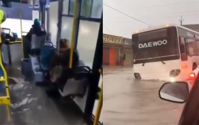 bus