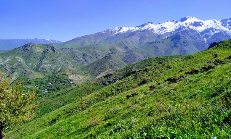 483966396 9315472891861911 4983622879804038648 n 1 1