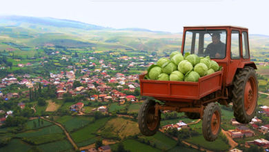 YATMAZDAN ONCE 1 DENE Kopyasi Kopyasi Kopyasi Kopyasi Kopyasi Kopyasi Kopyasi Kopyasi 33