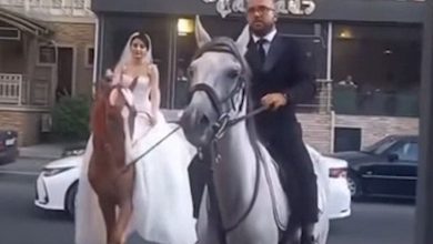 541055068 767965089181814 6102641400893367991 n