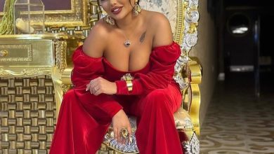 51e44108523245130dcecd27d393b89f