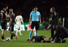 whatsapp image 2025 11 06 at 01.46.09