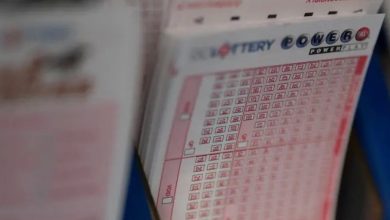 17125767021574421806 1200x630