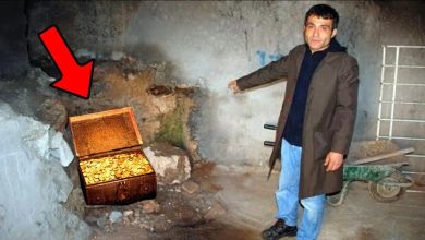 ezgif 3850d37862487f6d