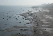 nhig78ynofavqcailwqewvejxjwnpsmvlm7deuay 1200