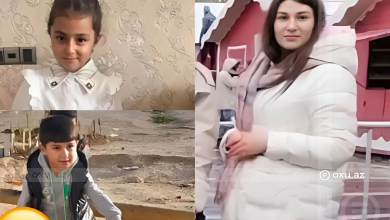 p3IJQRb0DchgTT3aR7hiVBGWkjZmJe24VhPeZwPs 1200 1