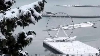 01KEP6703NSFK0M6TMYF7YNNJ1 medium