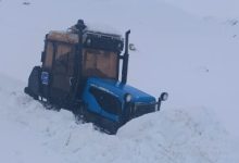 1647617688 photo 2022 03 18 19 33 25