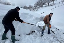 1768999020 1262302 1