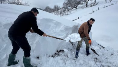 1768999020 1262302 1