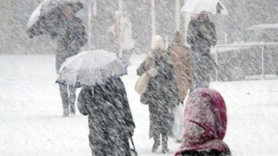 63b967af81b5763b967af81b58167309508763b967af81b5563b967af81b56 1jpg 1768821684