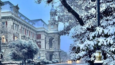 81bad305a0a33cbbcab825611f47d31e