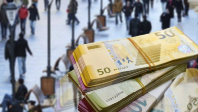 9009cbbbcf7d5b01d065ea11d2976c02