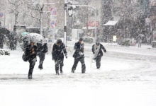 CCpPlDOZxg2epxJAhAYE3kibqc9Quzojx5N2eK18 1200 1