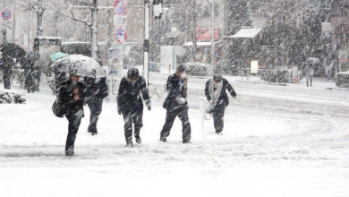 CCpPlDOZxg2epxJAhAYE3kibqc9Quzojx5N2eK18 1200 1