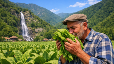 ChatGPT Image Jan 14 2026 07 58 04 PM