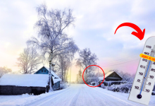 YATMAZDAN ONCE 1 DENE Kopyasi Kopyasi Kopyasi Kopyasi 45