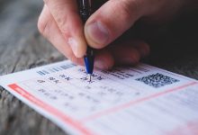 owl detail 620 d9e74c910a4a51606bf03253e9c06cc9