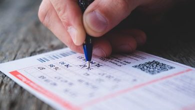 owl detail 620 d9e74c910a4a51606bf03253e9c06cc9