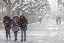 1642066649 1574241228 img