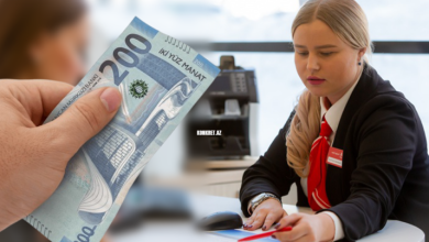 Untitled 1 768x403 1