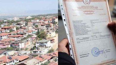 kupca223 1 734x403 1