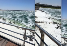 rcgumvjwjialcmajmljqdo8rdnhz6px9x4ojxk9m