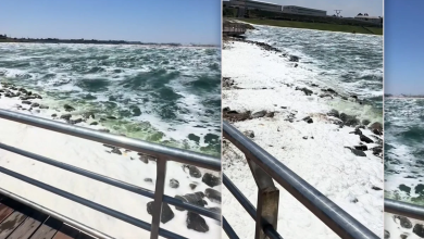 Böyükşor gölü niyə köpüklənib? - ŞOK GÖRÜNTÜ 4 rcgumvjwjialcmajmljqdo8rdnhz6px9x4ojxk9m