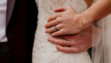 toy gelin 2024 3 768x403 1