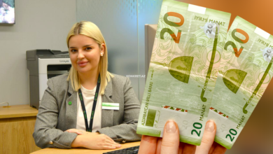 Untitled 1 1 768x403 1