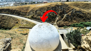 YATMAZDAN ONCE 1 DENE Kopyasi Kopyasi Kopyasi Kopyasi 19