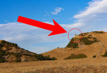 YATMAZDAN ONCE 1 DENE Kopyasi Kopyasi Kopyasi Kopyasi 21