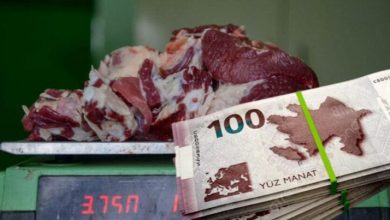 et pul 900x506 1 768x403 1